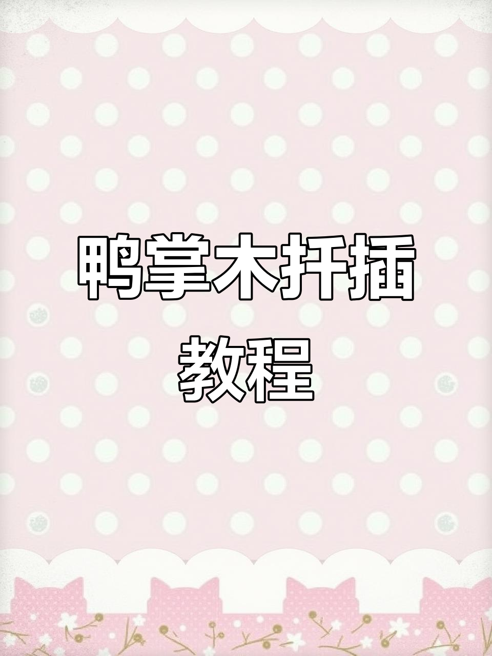 鸭掌木扦插技巧,简单步骤快速生根