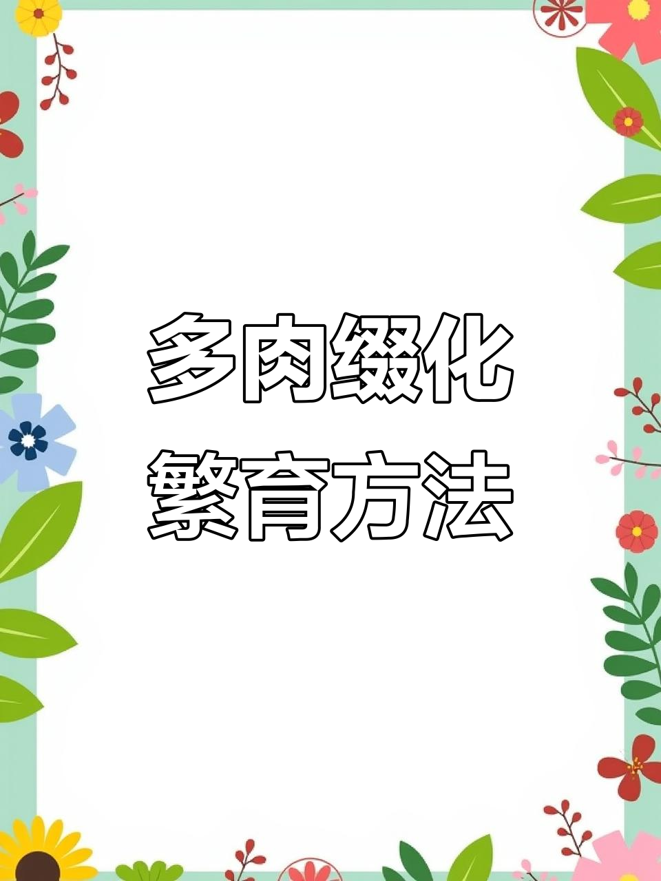 春梦缀花多肉繁殖技巧,轻松掌握!