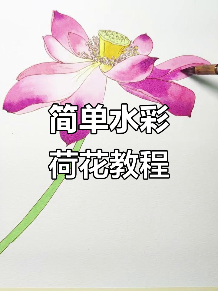 水彩荷花画法全解析，轻松上手！