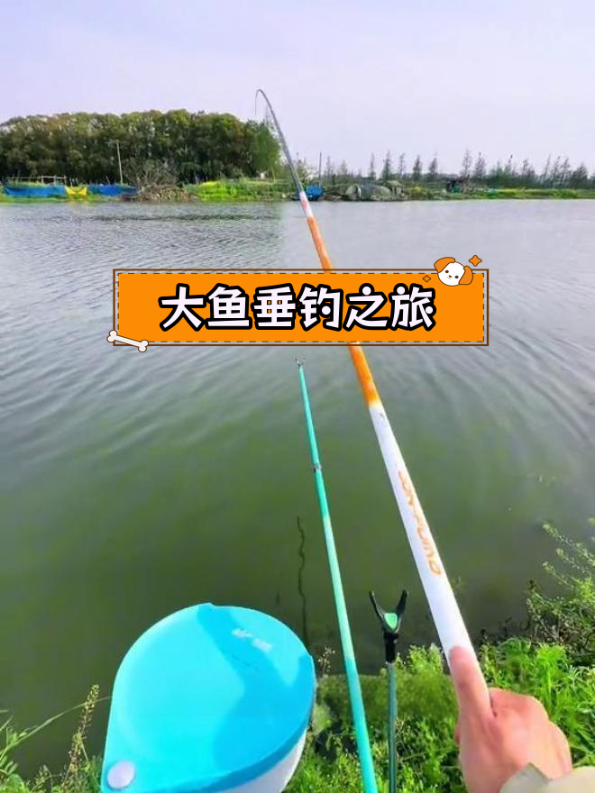 江南野河大鱼挑战,解锁五种鱼类