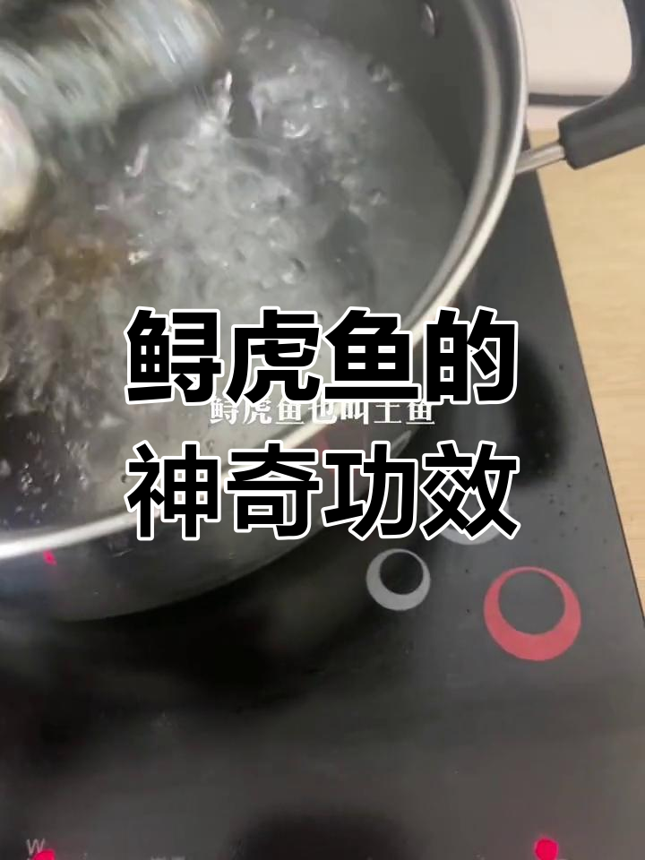 鲟虎鱼富含营养,促进伤口愈合,助力孩子成长与孕妇滋补