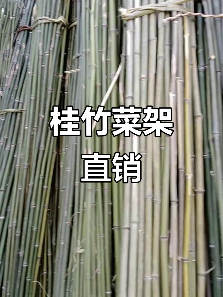 桂竹菜架直销,品质保障,价格实惠