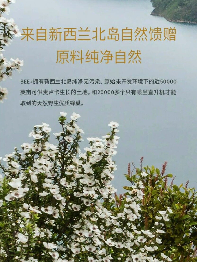 分享麦卢卡蜂蜜的功效与用法