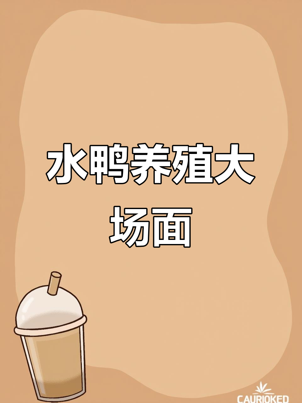 湖北农村水鸭养殖,千只鸭子齐飞