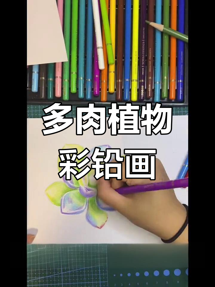 彩铅手绘可爱多肉植物,零基础也能轻松学会