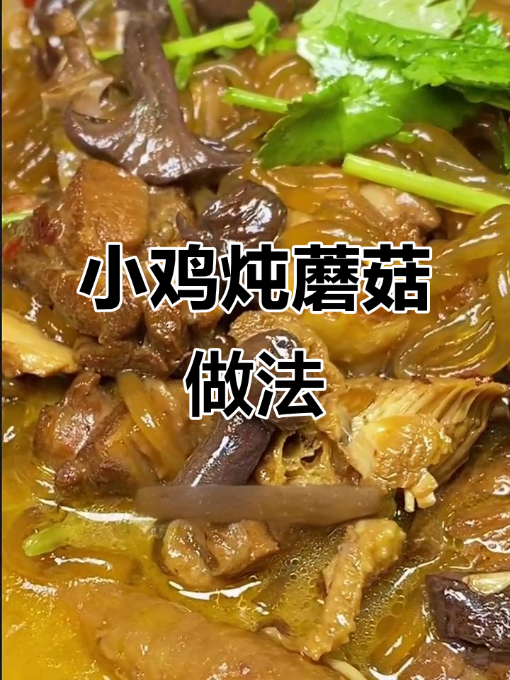 东北经典小鸡炖蘑菇,家常做法超下饭
