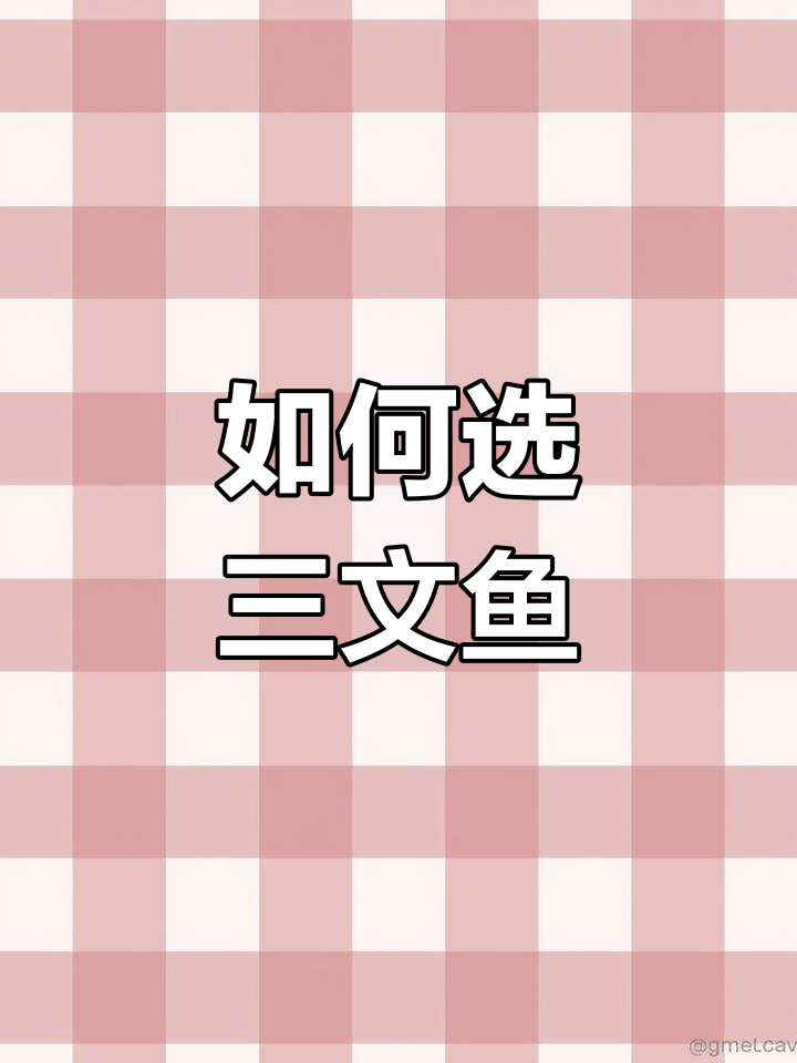 挪威与丹麦三文鱼的区别解析