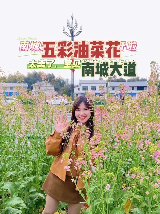 南城大道五彩油菜花开啦，太美了，宝贝们快去打卡吧～