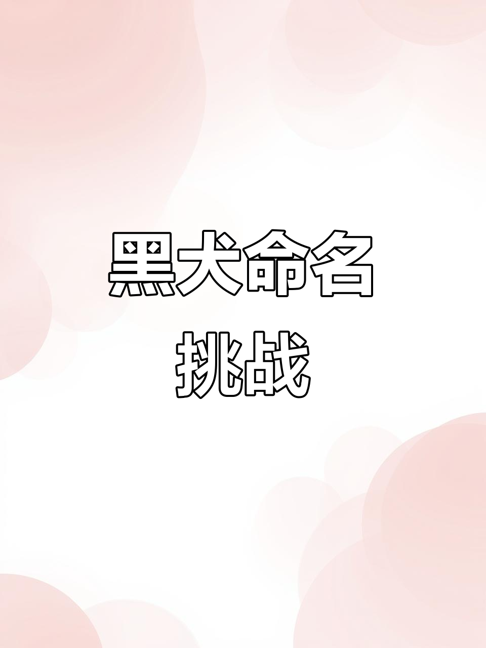 给六只黑狗起名,不提黑色却依然凸显它们的深邃