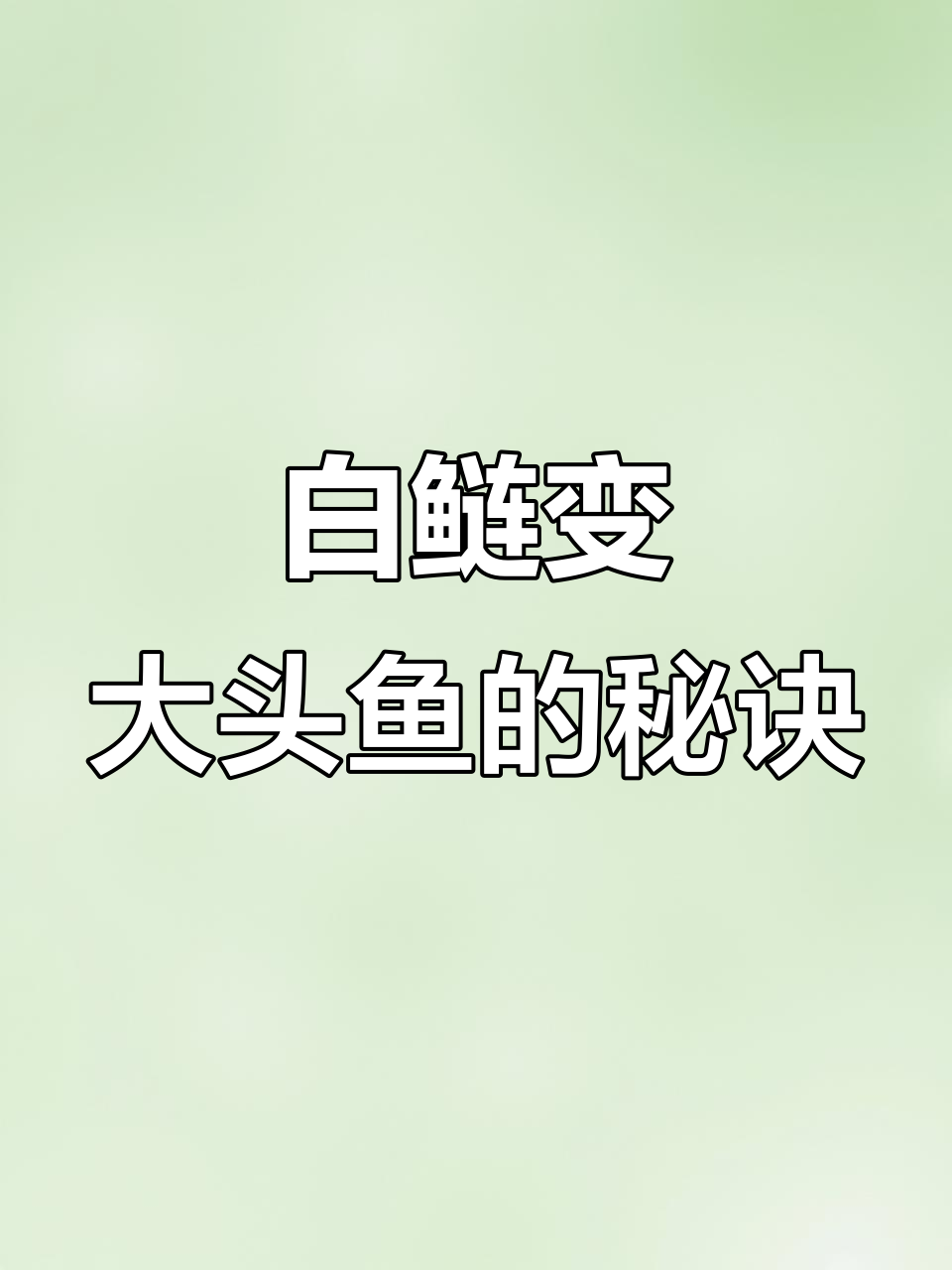 腥臭与酸臭味切换,白鲢变大头鱼轻松钓