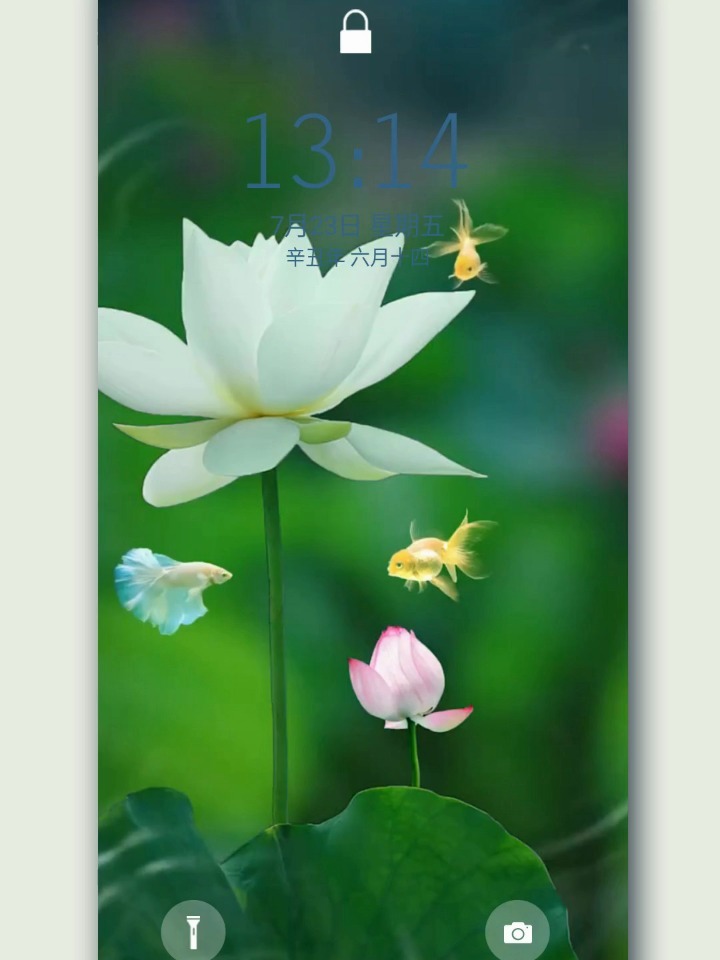 高清动态壁纸,荷花
