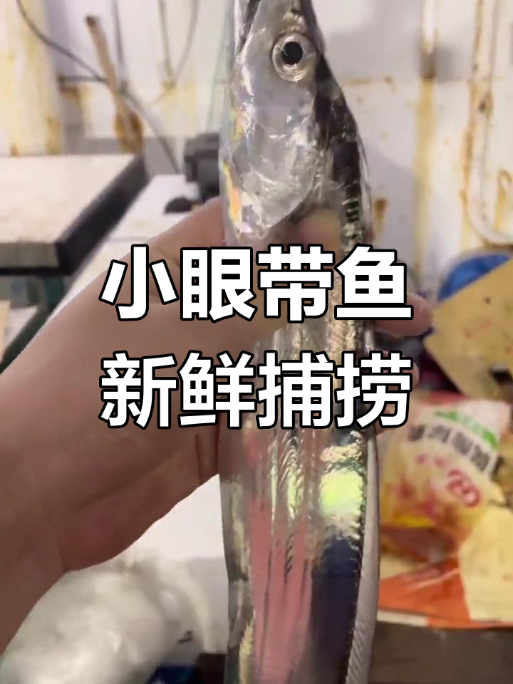 活带鱼新鲜出炉,小眼睛微发亮!