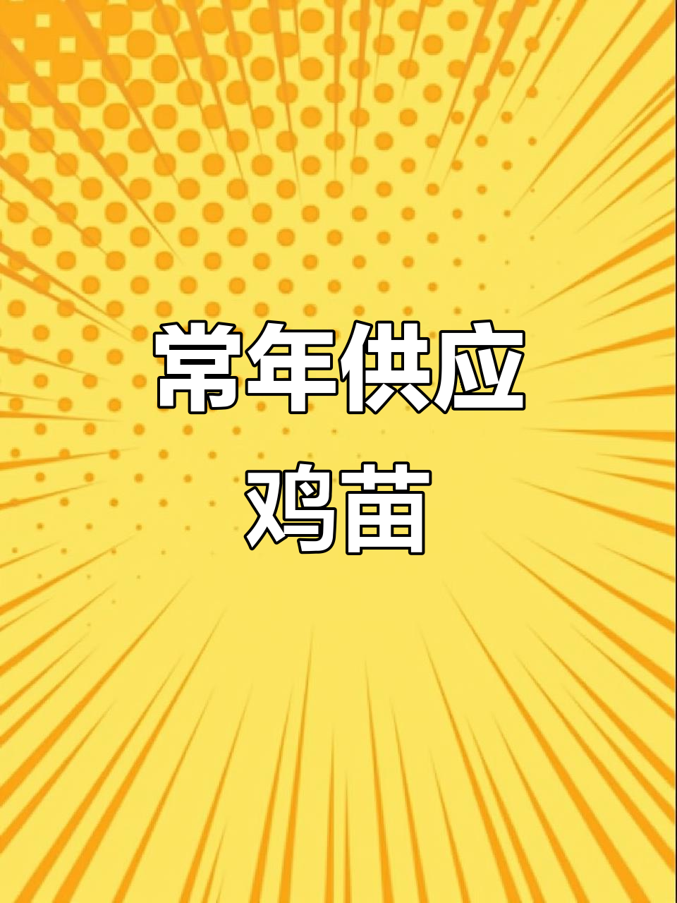 常年供应优质鸡苗,满足养殖需求