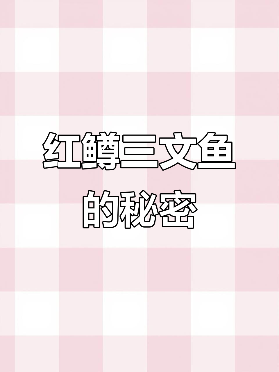 探访云南普洱红鳟鱼养殖基地,水质清澈见底