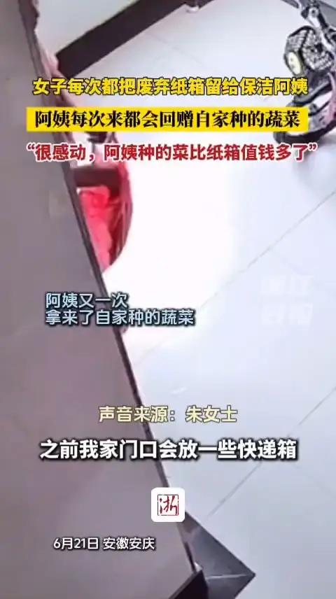 女子每次都把废弃纸箱留给保洁阿姨 阿姨每次都会回赠自家种的蔬菜 “很感动,阿姨种的菜比纸箱