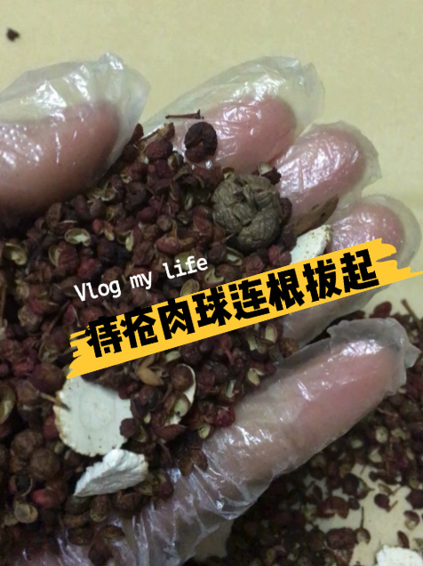 痔疮肉球