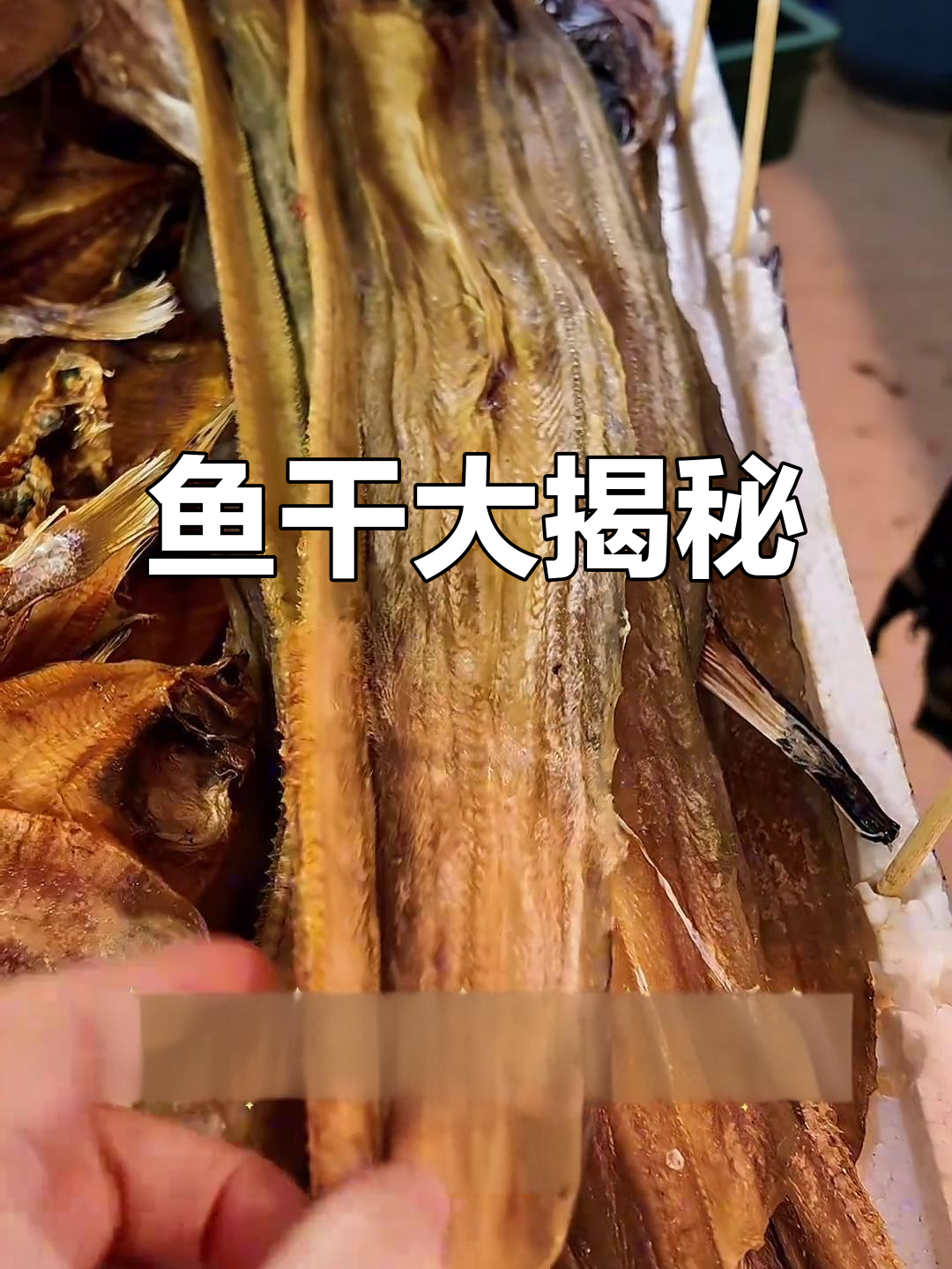 舟山鱼干种类繁多,你能认全吗?