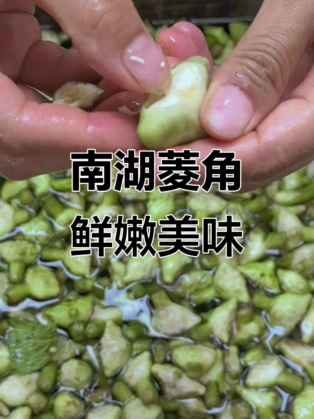 嘉兴南湖菱角,嫩滑无角馄饨,生食炒菜皆宜