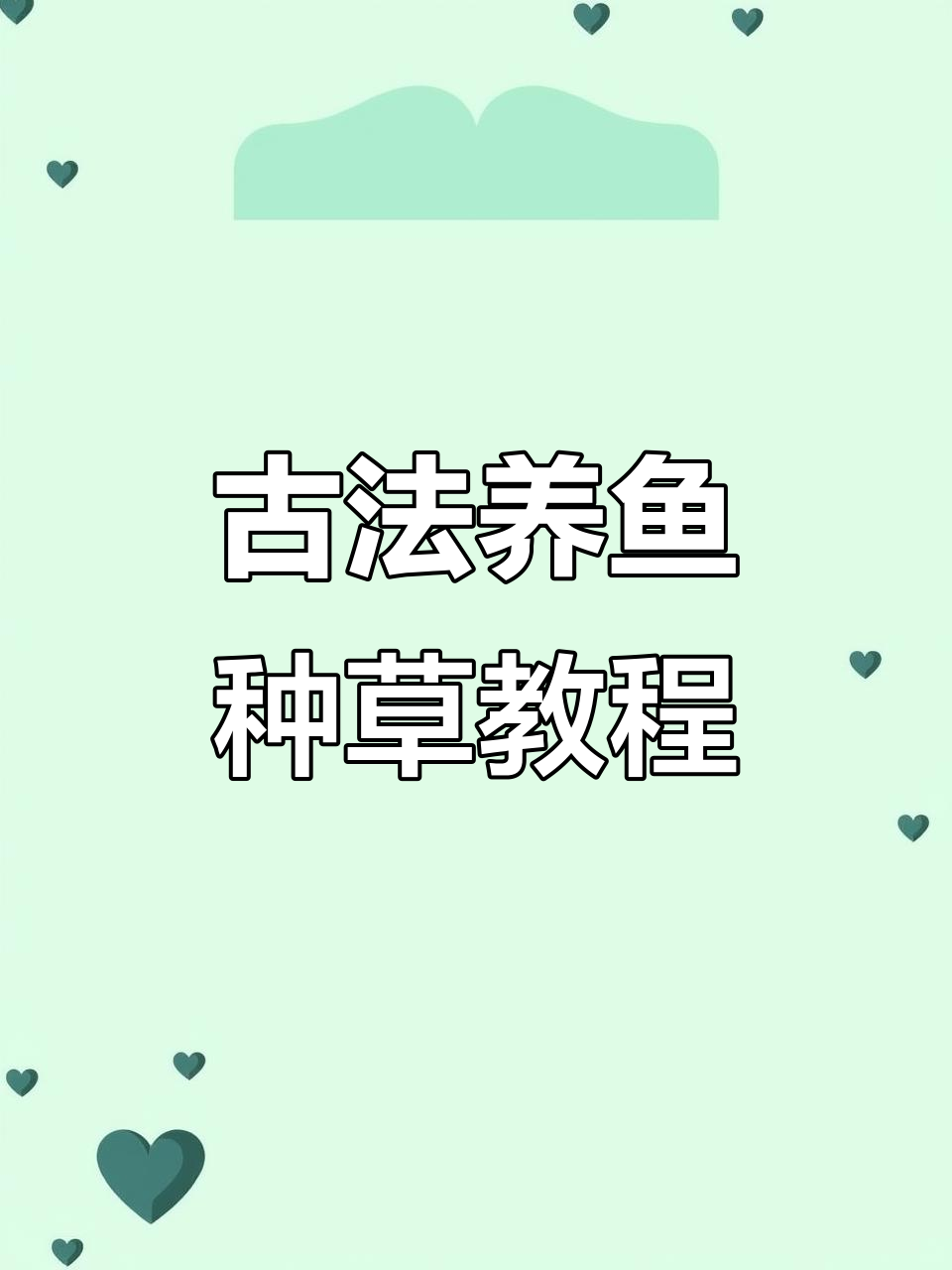 古法养鱼开缸全攻略:种草造景技巧大揭秘