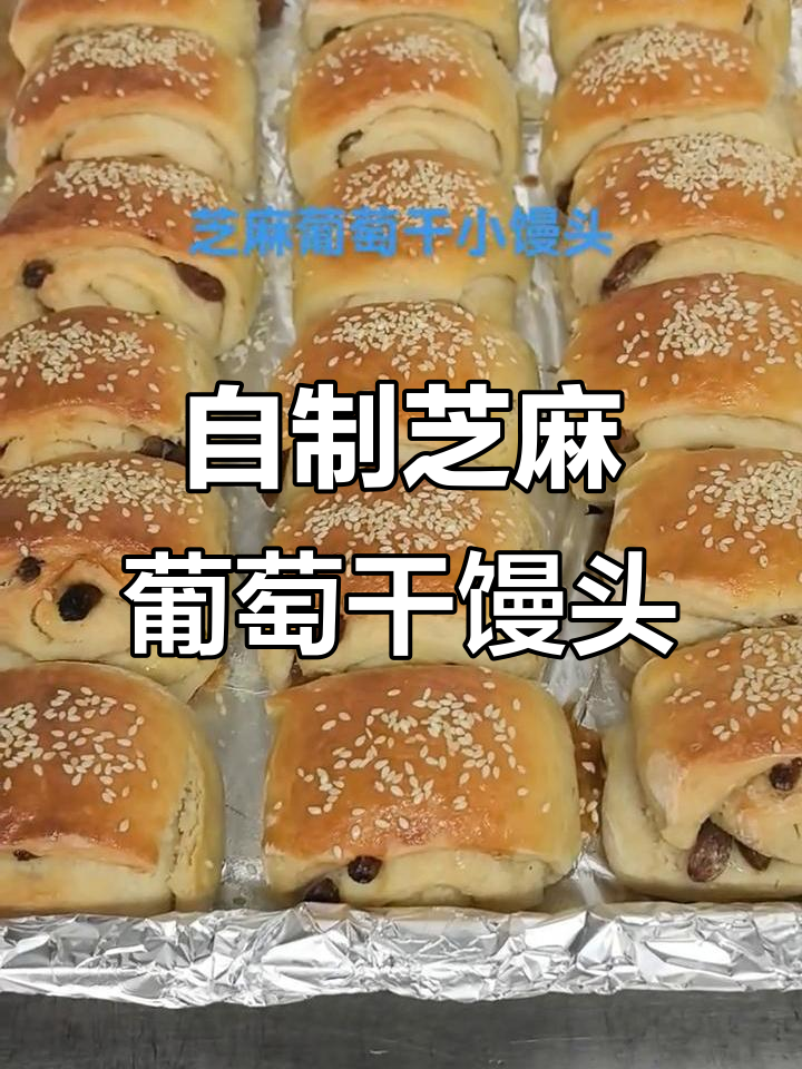 芝麻葡萄干馒头,现烤美味不容错过