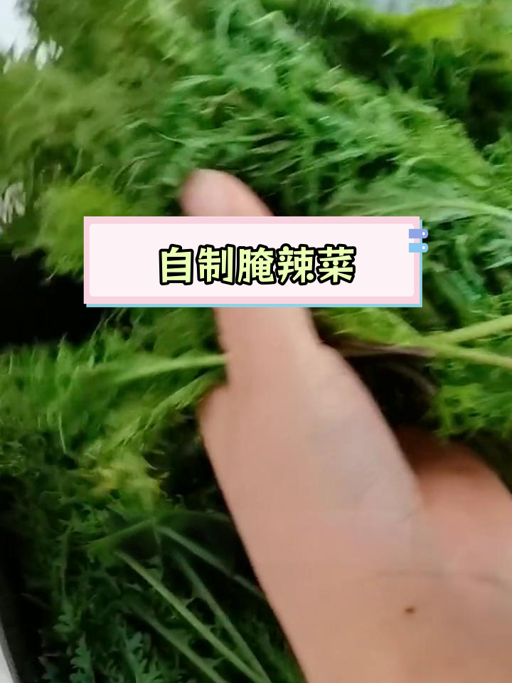 辣菜樱子炖粉条,小时候的家乡味