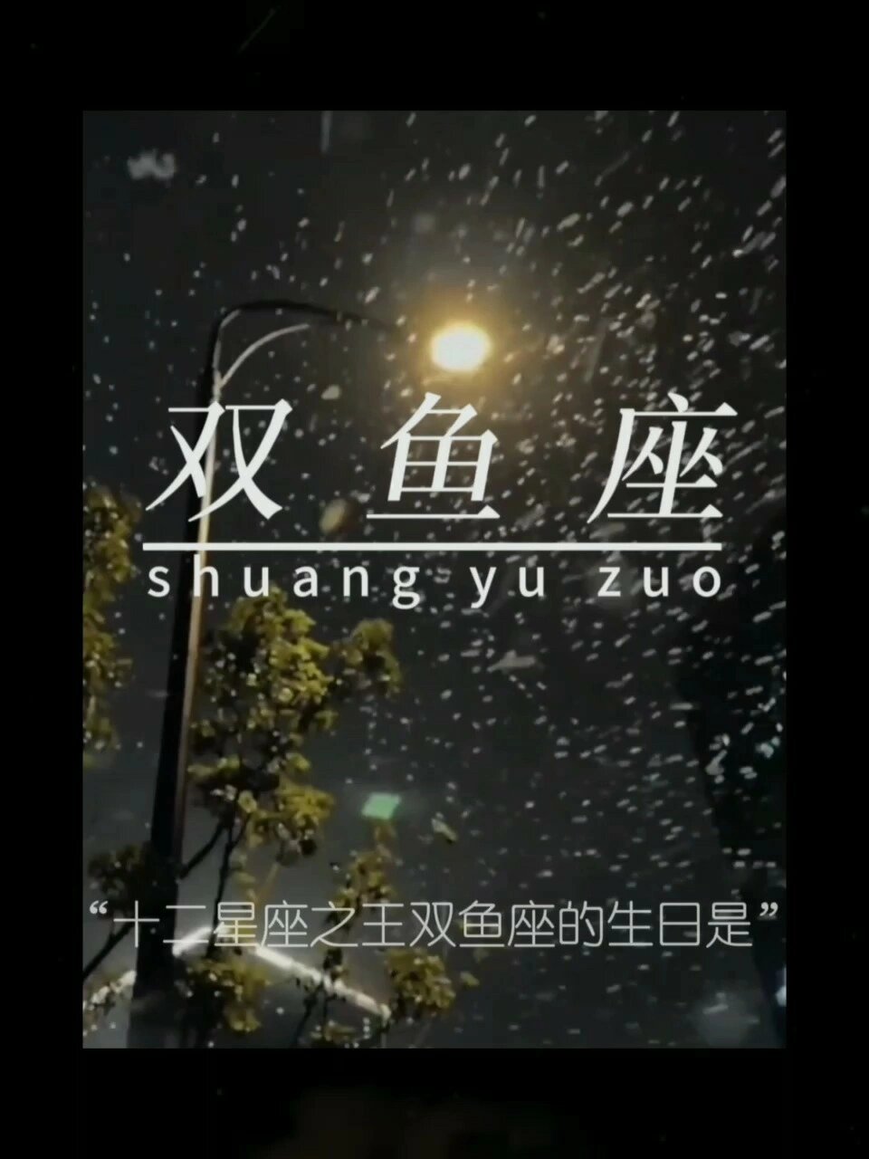 十二星座之王双鱼座的生日是