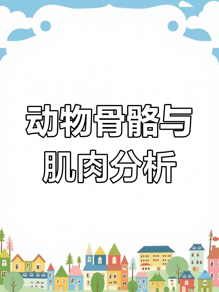 动物骨骼肌肉解剖:从肩胛骨到豌豆谷的精细解析