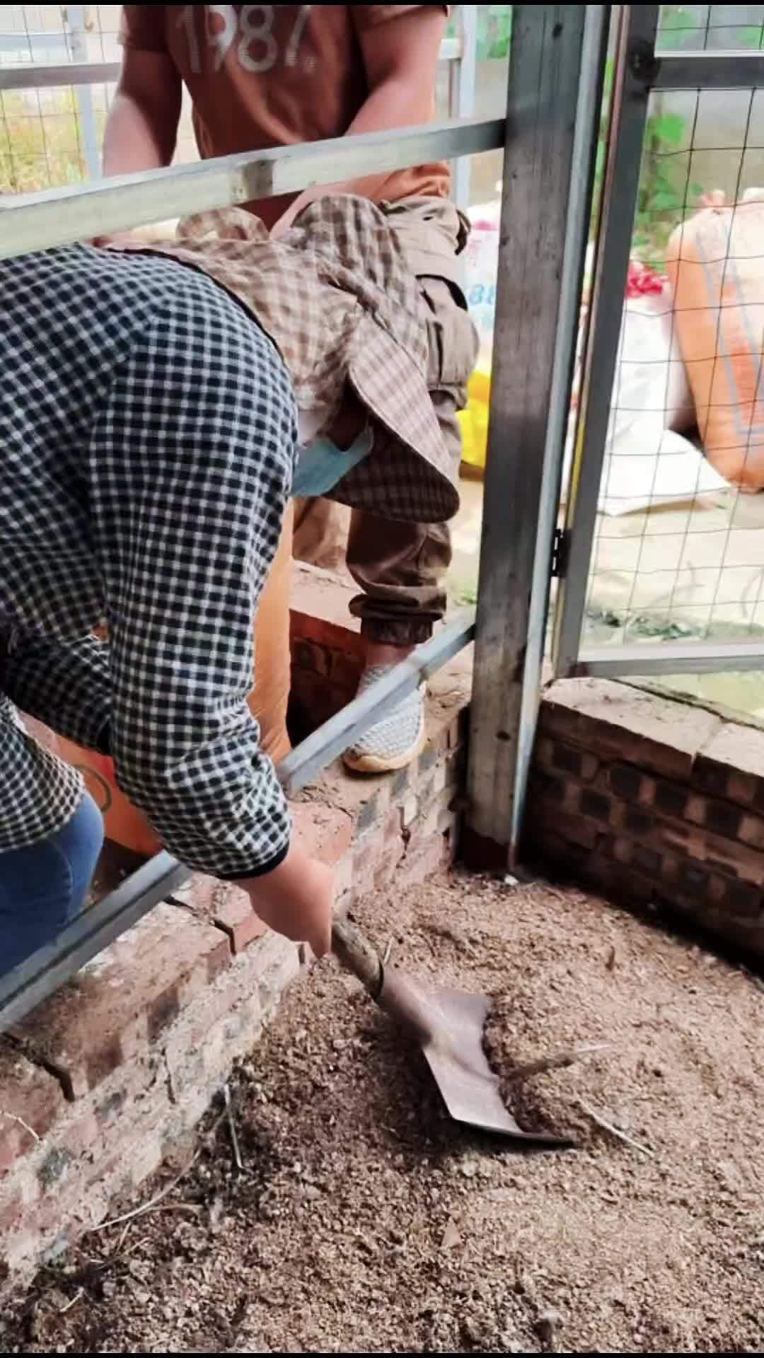 养殖 养鸡 鸡鸭鹅养殖 农村散养土鸡 发酵床 懒人养殖发酵床制作菌种兽用