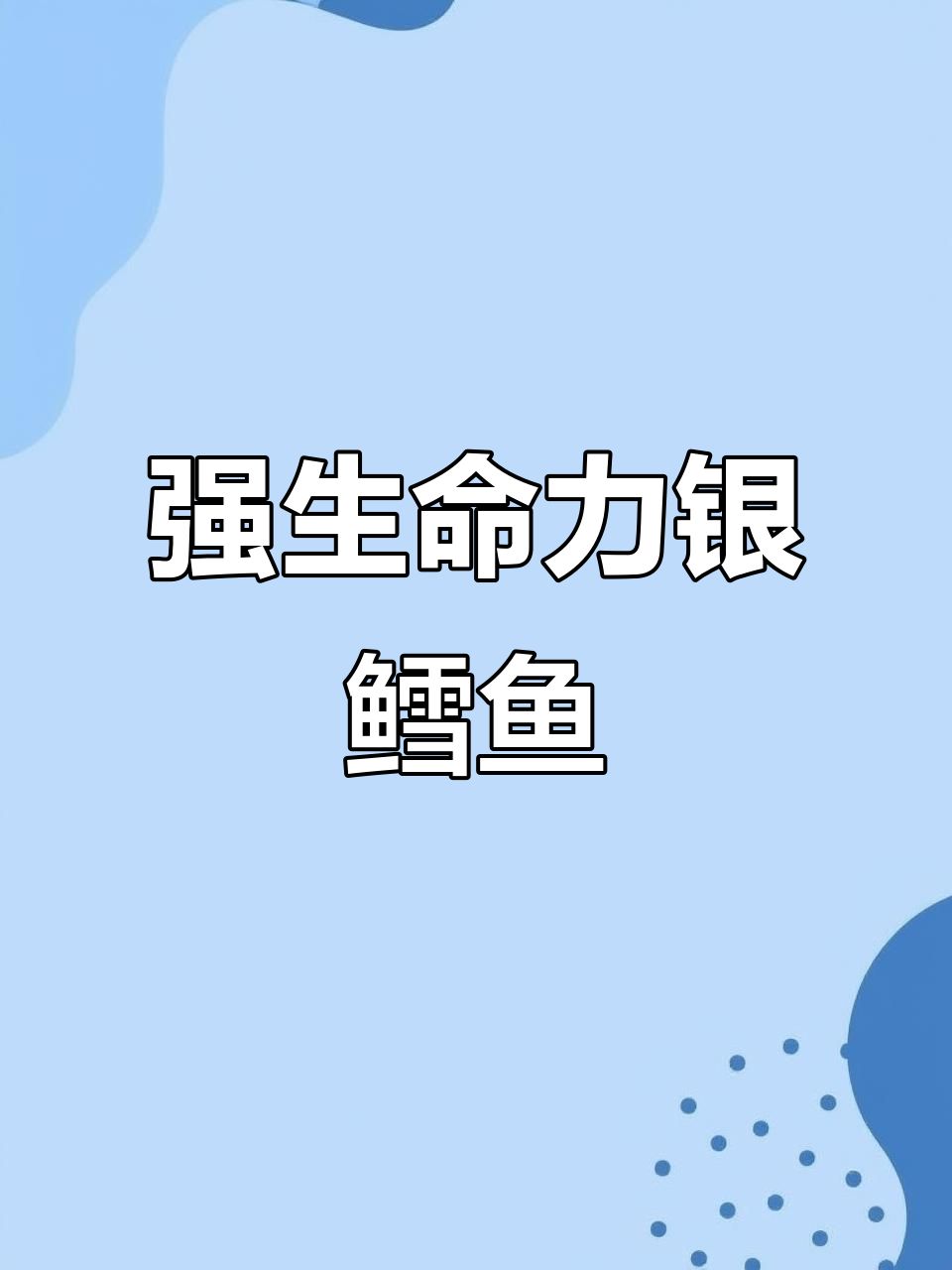 淡水银鳕鱼,适应力强,食物多样