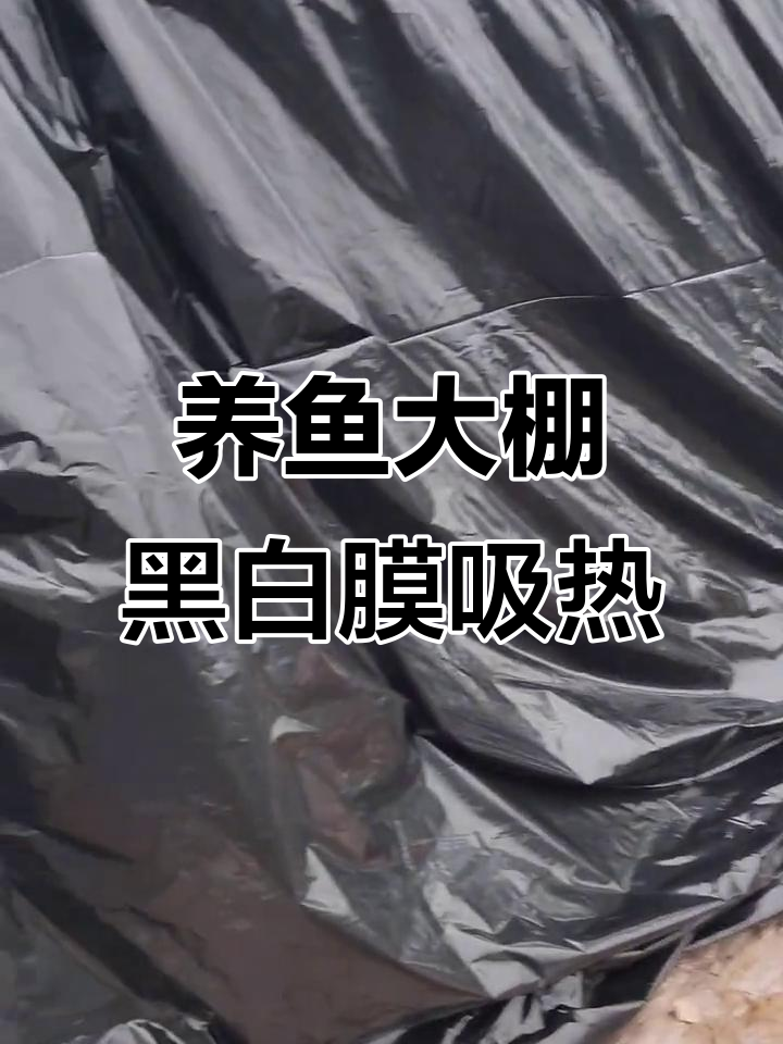 冬季养鱼大棚保温技巧:黑色膜吸热,白色网反射阳光