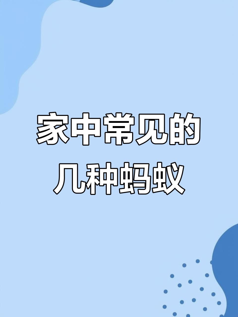 常见家庭蚂蚁种类大揭秘,如何应对不同蚁种侵扰