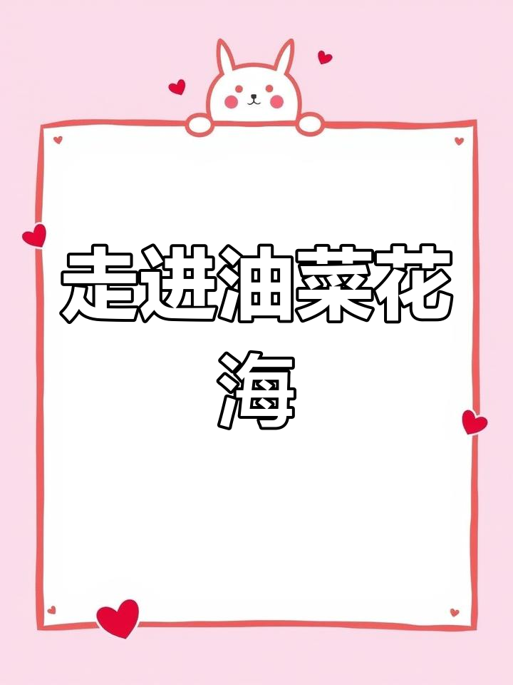 油菜花田的美丽与香气