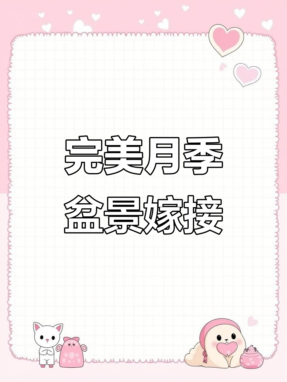 月季盆景嫁接技巧,轻松掌握蔷薇提根操作
