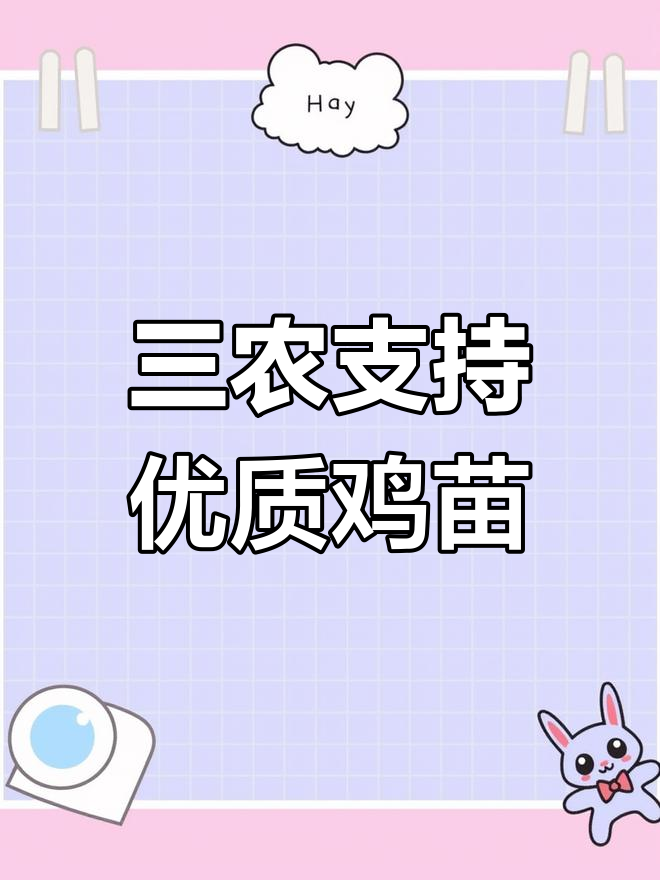 助力三农,优质鸡苗批发,土鸡苗助力乡村振兴