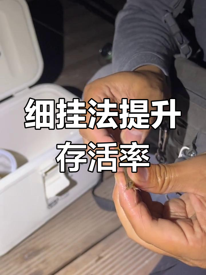 远投活虾挂钩技巧