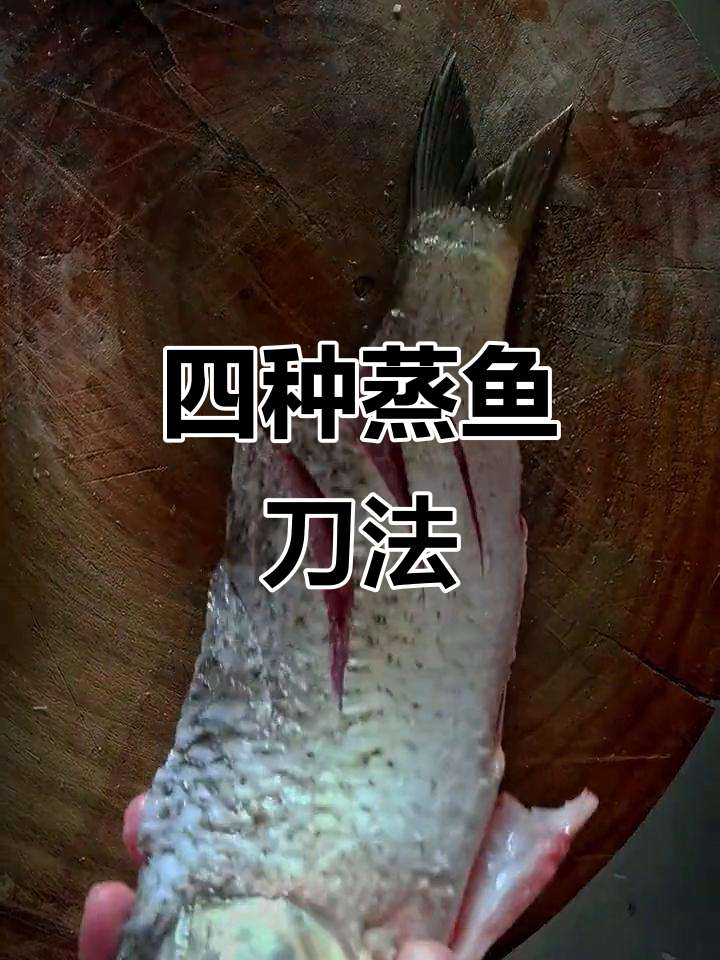 蒸鱼刀法大揭秘,四种技巧让你轻松做出美味鱼肉
