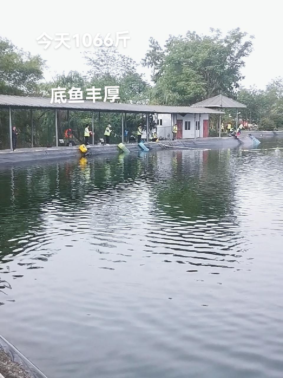 路亚 黑坑鲈鱼 中视频伙伴计划 出发吧伟大的钓手