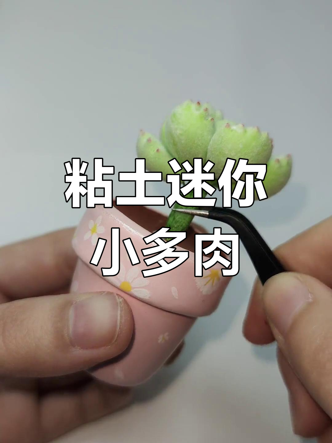 迷你小多肉DIY,轻松打造可爱微缩景观