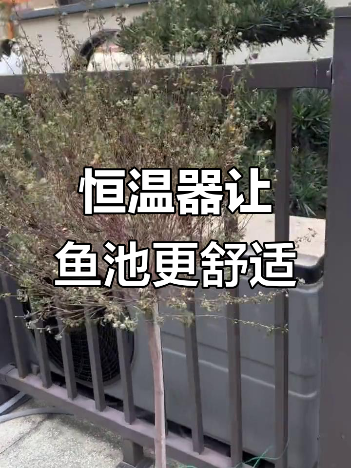 恒温泳池必备:空气能外机助力鱼池温度调节
