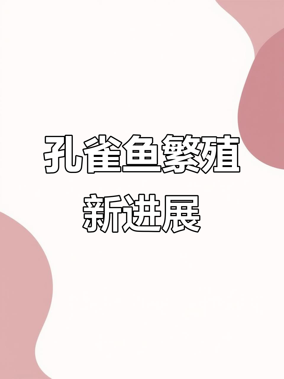 鸿运当头与天空蓝孔雀鱼杂交,期待生出火烧云后代