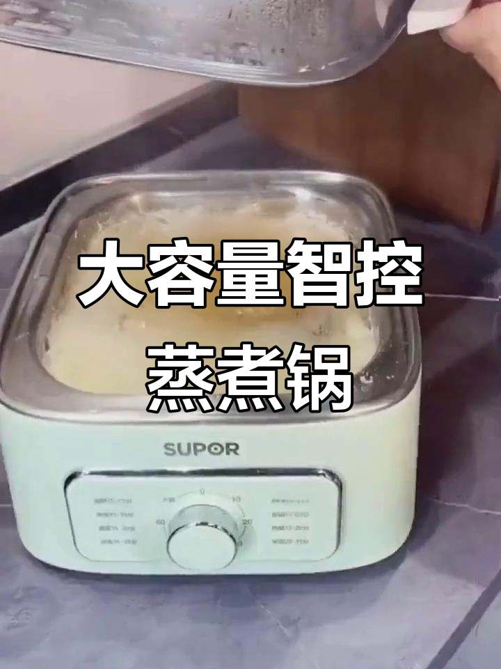 苏泊尔大容量电蒸锅,智能定时,家用多功能一体