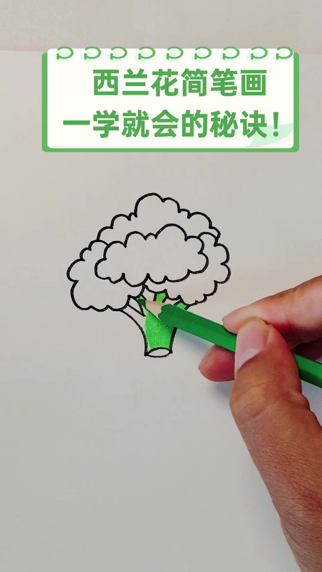 西兰花简笔画,一学就会的秘诀!