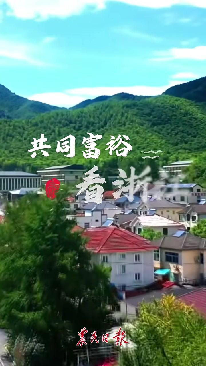 浙江龙游县：“瘦身鱼”养出致富经 共同富裕看浙江 农报记者带你打卡浙江共富乡村