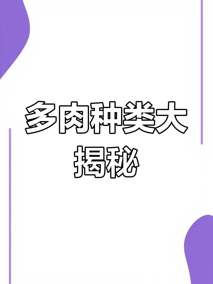 42种常见多肉科属解析