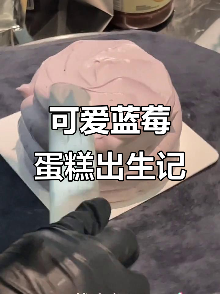 180度bakery的蓝莓小姐蛋糕,萌到不行!