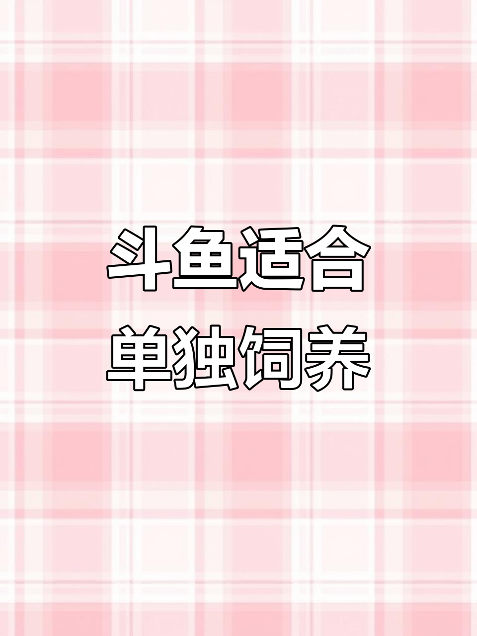 斗鱼能和其他鱼类混养吗?单养更健康