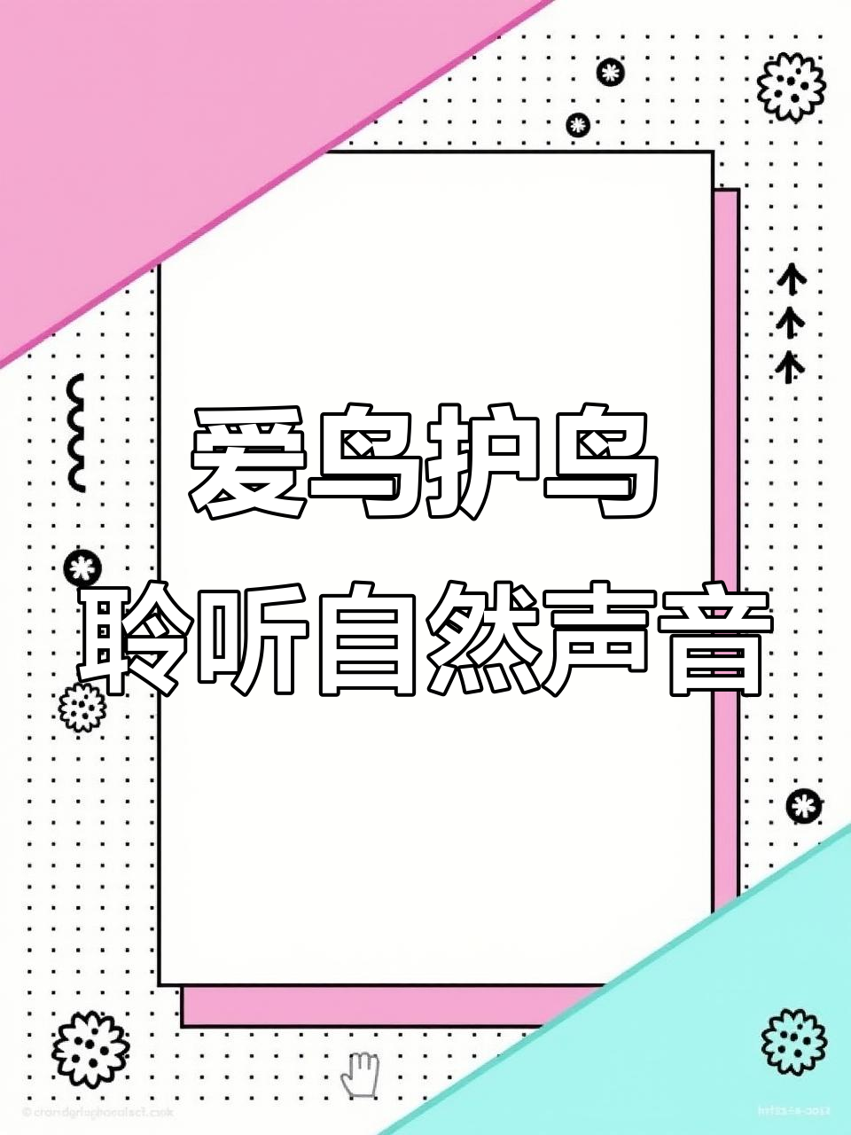 麻鸡与棕胸竹鸡的叫声，带你感受大自然的和谐之声