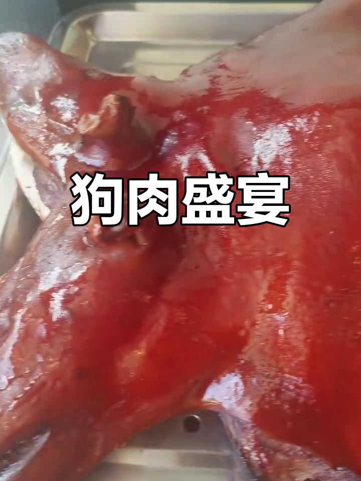 岑溪美食:狗肉、豆腐酿,独特小炒令人垂涎