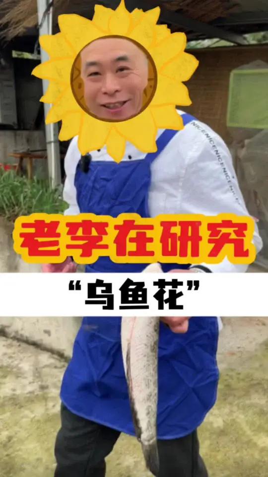 今天“捡”了条鱼,研究一下做个乌鱼花来试试烫火锅怎么样 重庆火锅 四间火锅 天儿冷吃点啥 