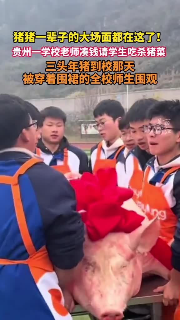 #贵州一学校老师凑钱请学生吃杀猪菜 买了3头猪,1700多人一起吃!